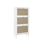 Rattan 3 Door Shoe Rack, Freestanding Modern Shoe Storage Cabinet