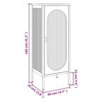 vidaXL Sideboard Black 15.7x13.8x41.3 Glass and Steel - 15.7 x 13.8 x 41.3