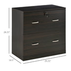 2-Drawer File Cabinet with Lock and Keys, Vertical Storage Filing Cabinet with Hanging Bar for Letter Size, Home Office