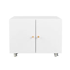 Printer Stand & Large Storage Steel Cabinet with Locked Wheel and Adjustable Shelf