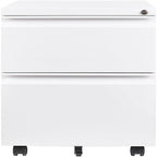 2-Drawer Mobile File Cabinet with Lock - 17D x 24W x 15H