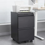 2 Drawer File Cabinet with Lock,Metal Under Desk Rolling Filing Cabinet fits Letter/Legal/A4 Size,Mobile Filing Cabinet