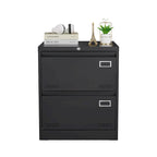 2 Drawer Metal Lateral File Cabinet with Lock,Office Vertical Files Cabinet,Locking Metal File Cabinet